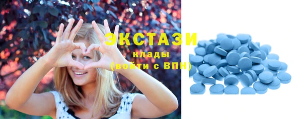 индика Зеленодольск
