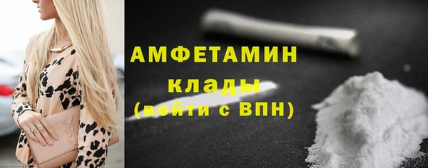 индика Зеленодольск