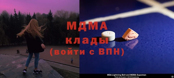 индика Зеленодольск