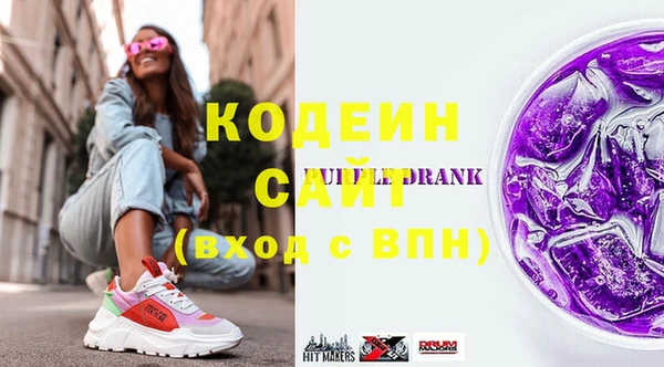 индика Зеленодольск