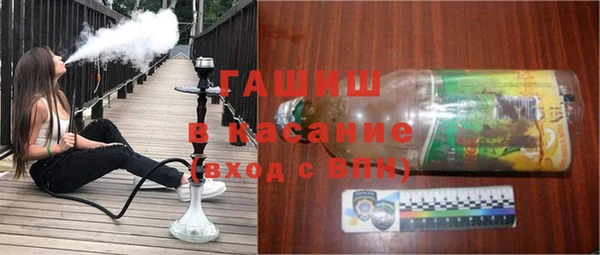 индика Зеленодольск