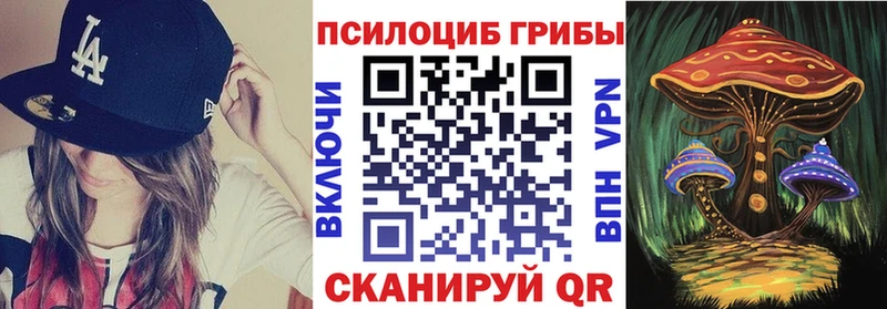 Псилоцибиновые грибы мицелий Усть-Кут